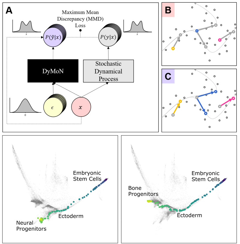 Dynamics Modeling Networks: Modeling Dynamics of Biological Systems with Deep Generative Neural Networks image