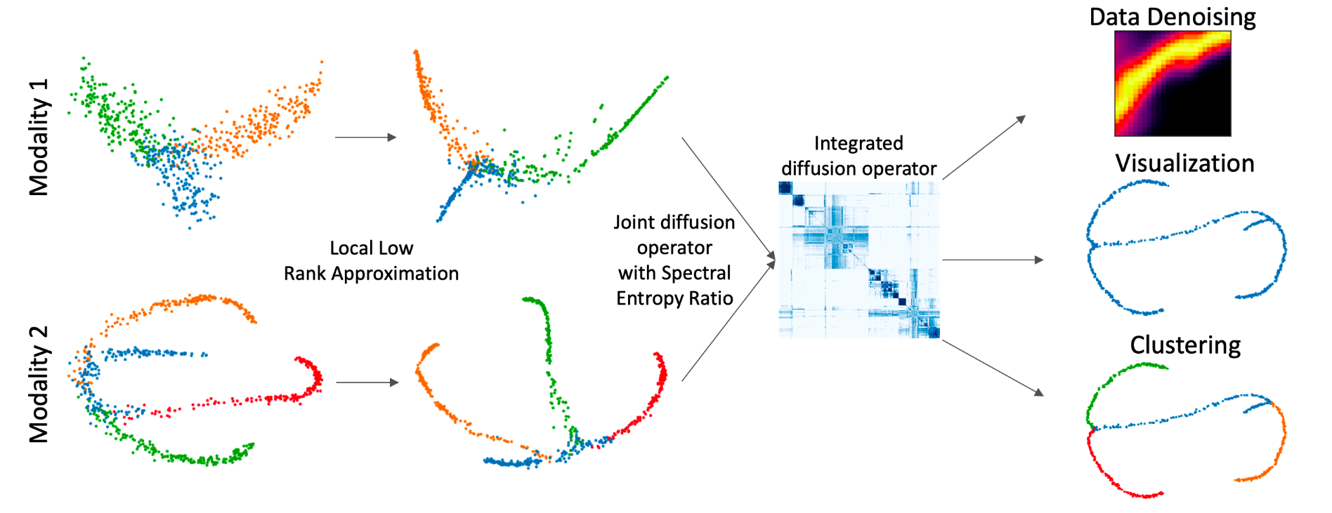 Multimodal Data Visualization and Denoising with Integrated Diffusion image