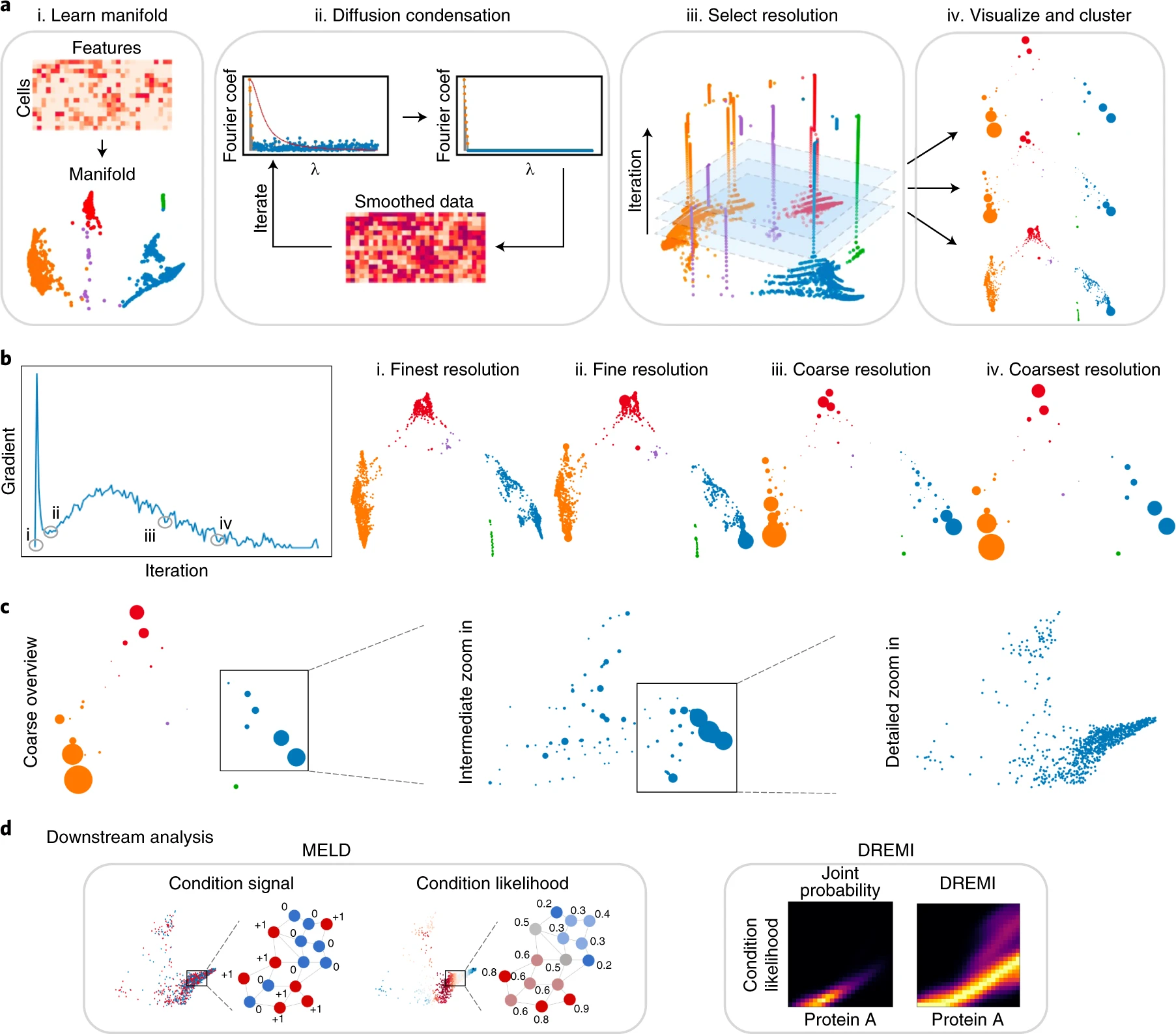 Multiscale PHATE identifies multimodal signatures of COVID-19 image