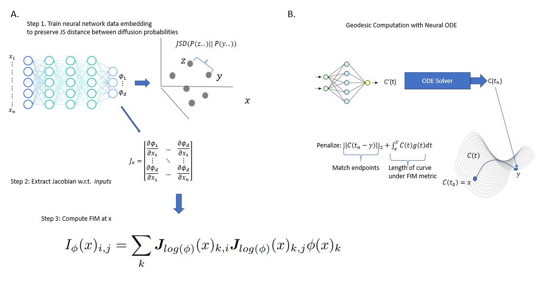 Neural FIM for learning Fisher information metrics from point cloud data image