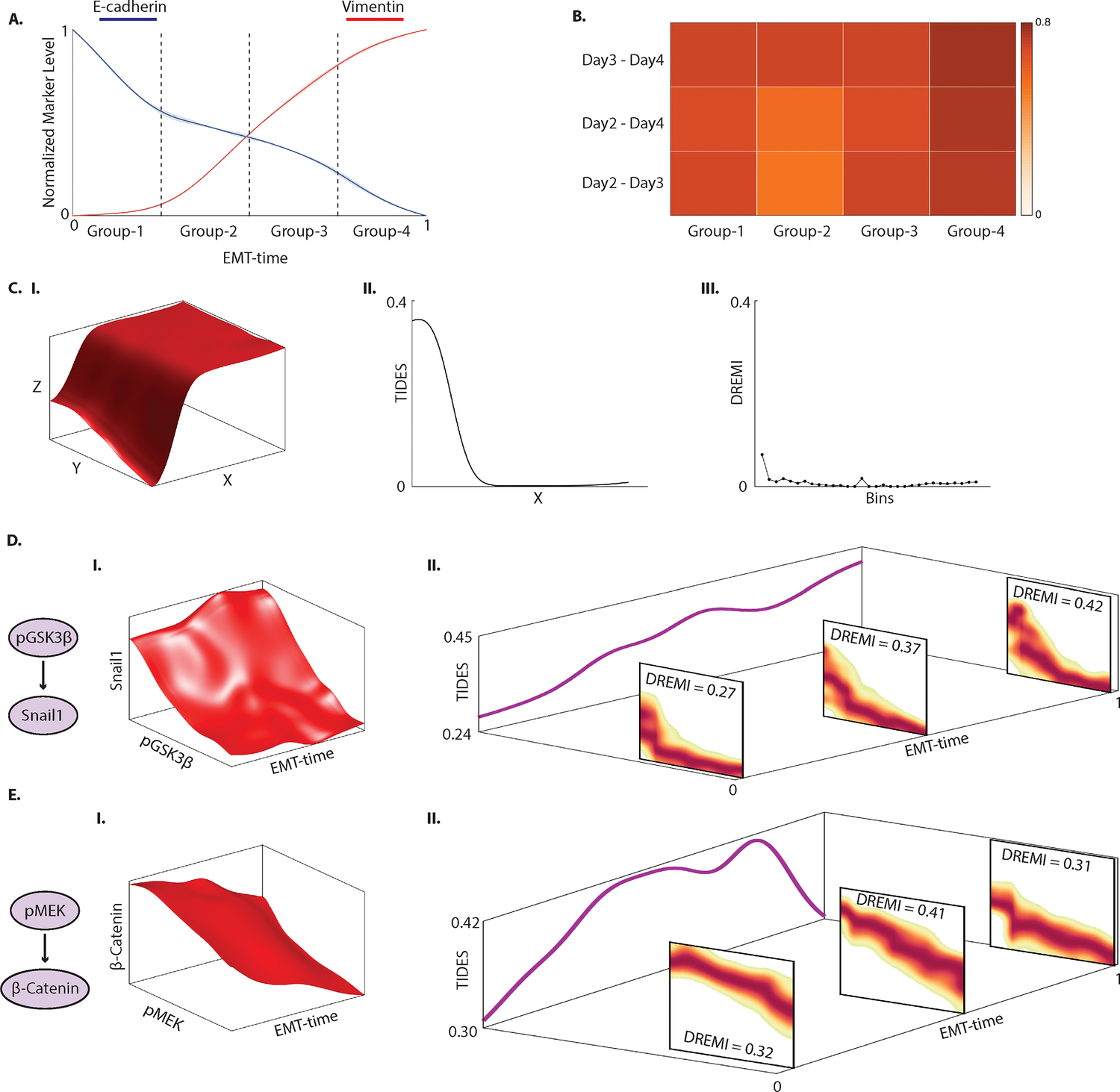 TIDES: Learning time-varying information flow from single-cell epithelial to mesenchymal transition data image